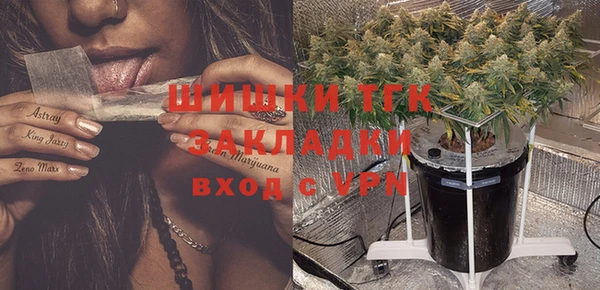 дживик Ельня